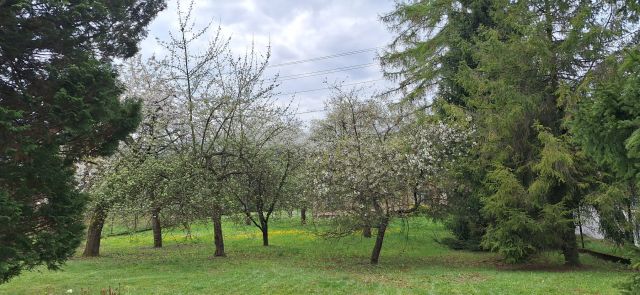 Działka budowlana Sułkowice Łęg, ul. Kościelna. Zdjęcie 1