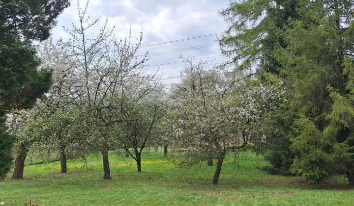 Działka budowlana Sułkowice Łęg, ul. Kościelna