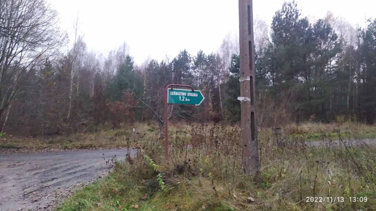 Działka inna Żabi Róg. Zdjęcie 19