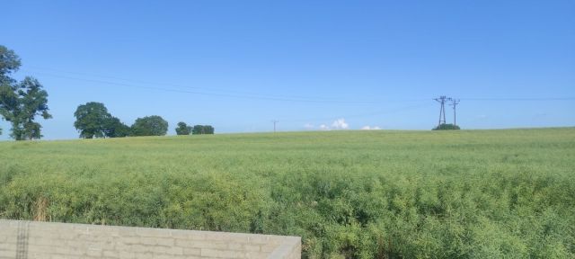 Działka budowlana Malbork Piaski. Zdjęcie 1