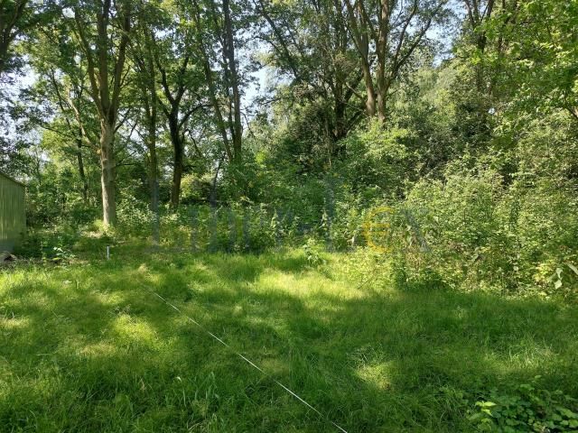 Działka budowlana Popielarze, Popielarze. Zdjęcie 9