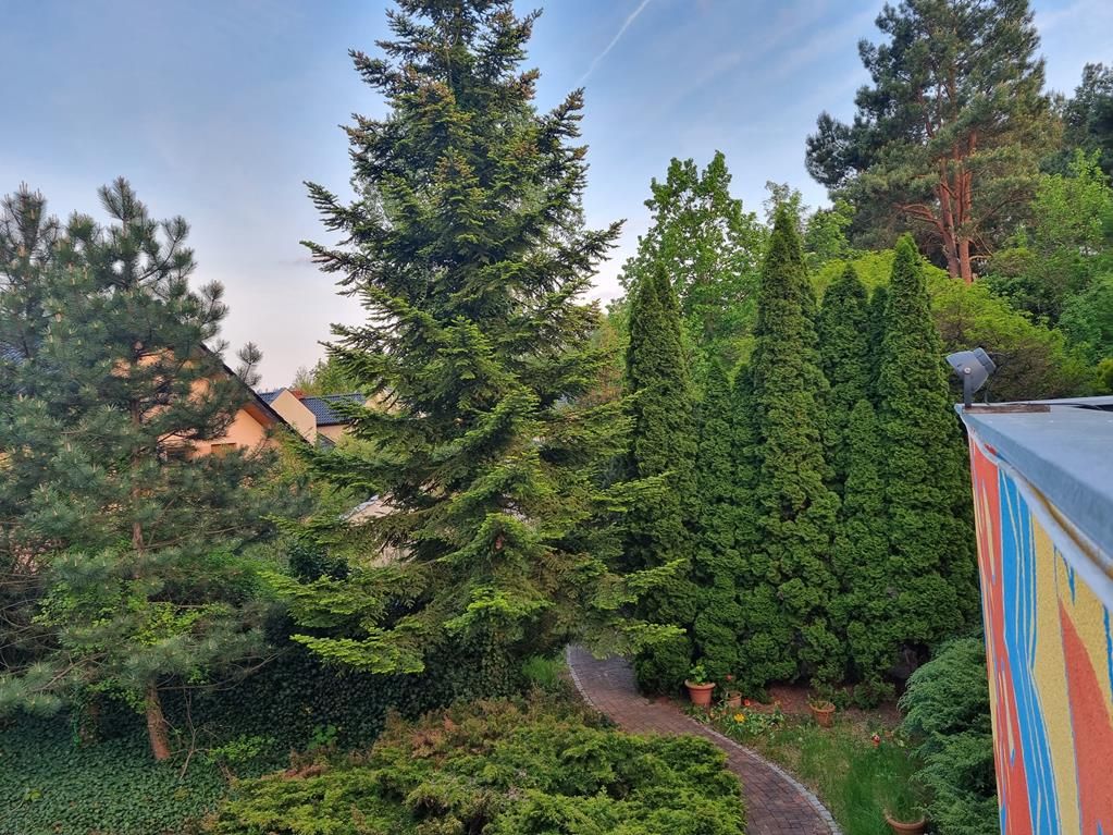 dom wolnostojący, 8 pokoi Puszczykowo Stare Puszczykowo, ul. Jarosławska. Zdjęcie 7