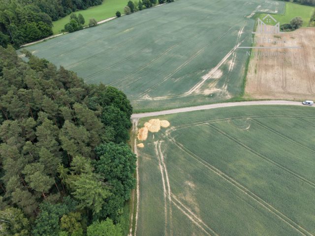 Działka rolna Lipia Góra Mała. Zdjęcie 10