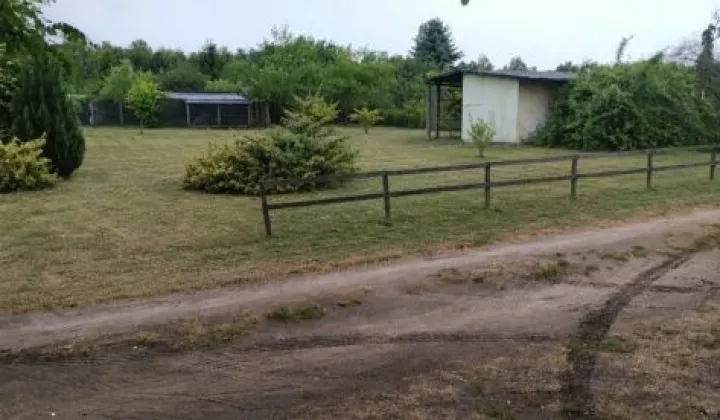 Działka rod Sulechów