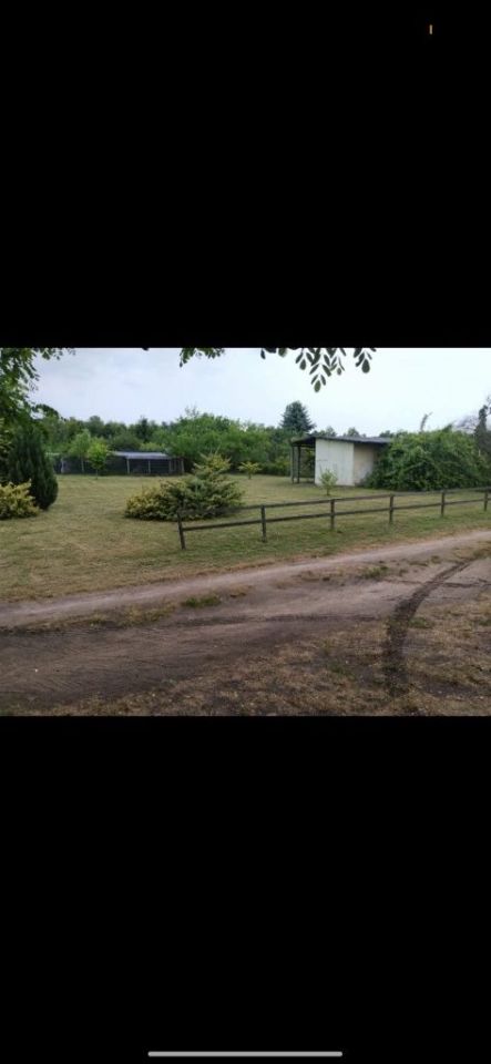 Działka rod Sulechów. Zdjęcie 1