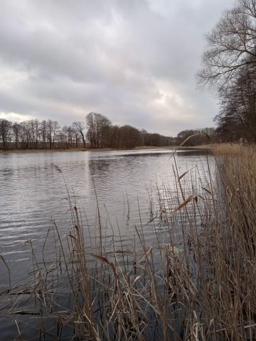 Działka budowlana Warchlino. Zdjęcie 1
