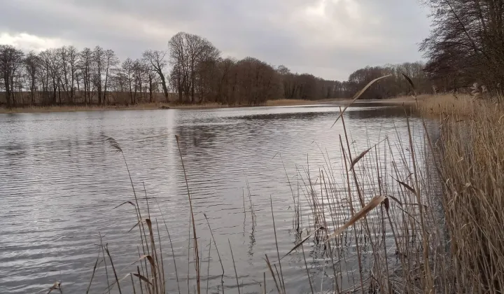 Działka budowlana Warchlino