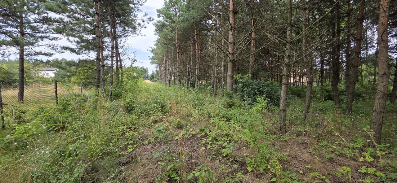 Działka budowlana Zawiercie Wydra Zielona, ul. Winna. Zdjęcie 13