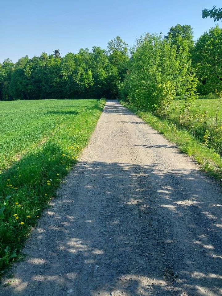 Działka rolno-budowlana Jodłownik Górki. Zdjęcie 3