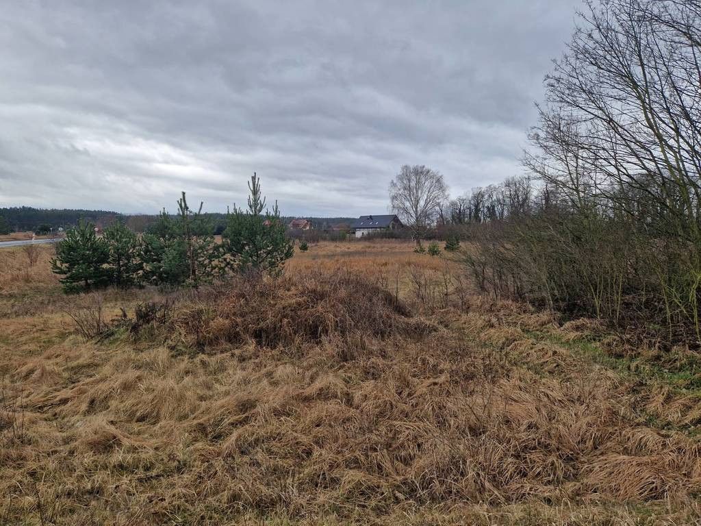 Działka budowlana Ognica. Zdjęcie 9