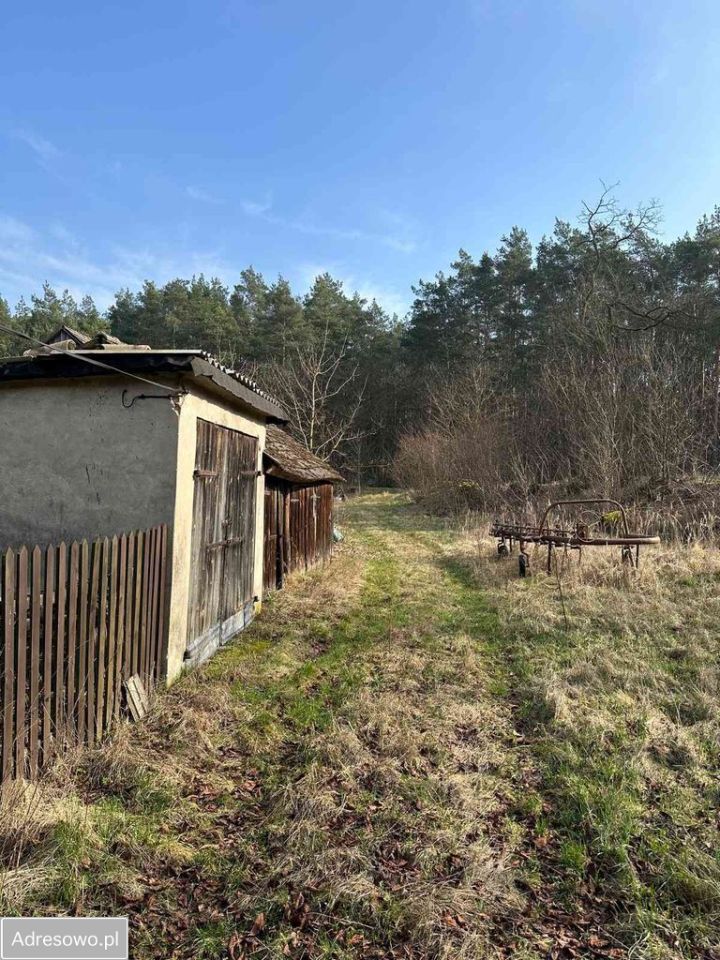 gospodarstwo, 3 pokoje Goszczanowo. Zdjęcie 14