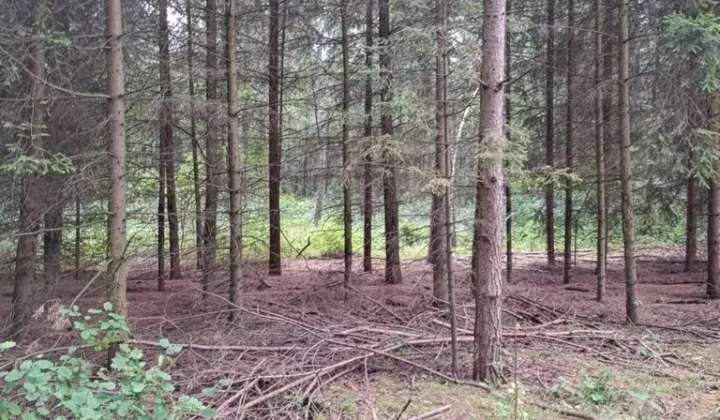 Działka Gredele