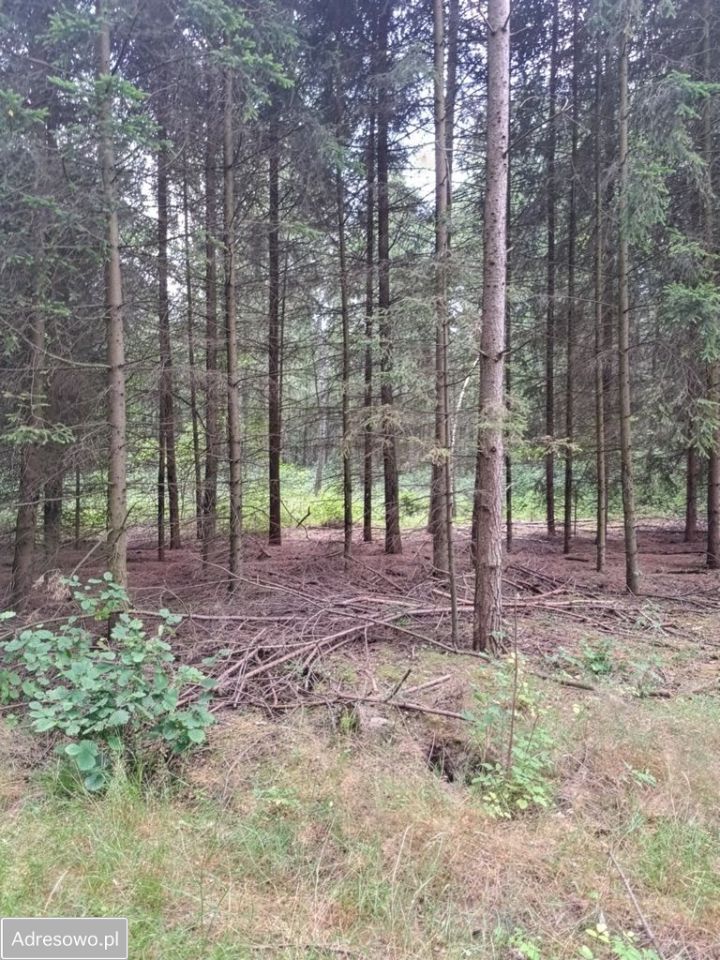Działka Gredele. Zdjęcie 1