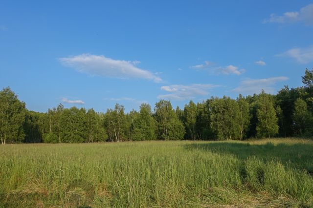 Działka budowlana Grzepnica. Zdjęcie 3