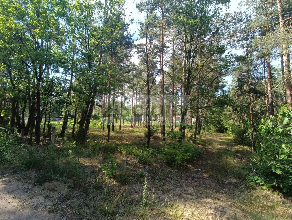 Działka Warszawa Wawer. Zdjęcie 2