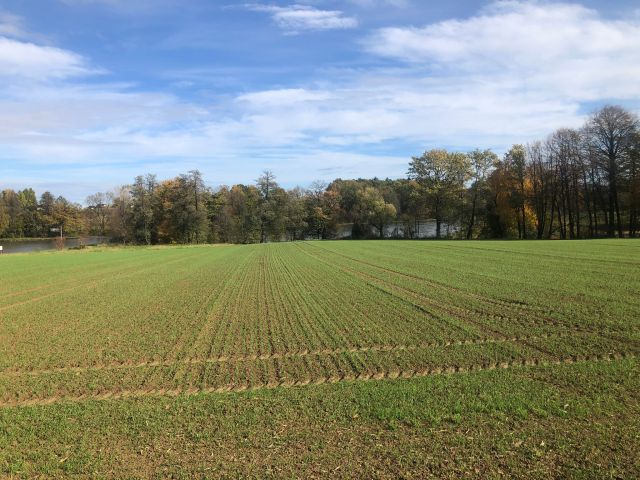 Działka rolno-budowlana Stara Wieś Stara Wieś Dolna, ul. Lipowa. Zdjęcie 6