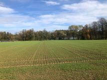 Działka rolno-budowlana Stara Wieś Stara Wieś Dolna, ul. Lipowa. Zdjęcie 4