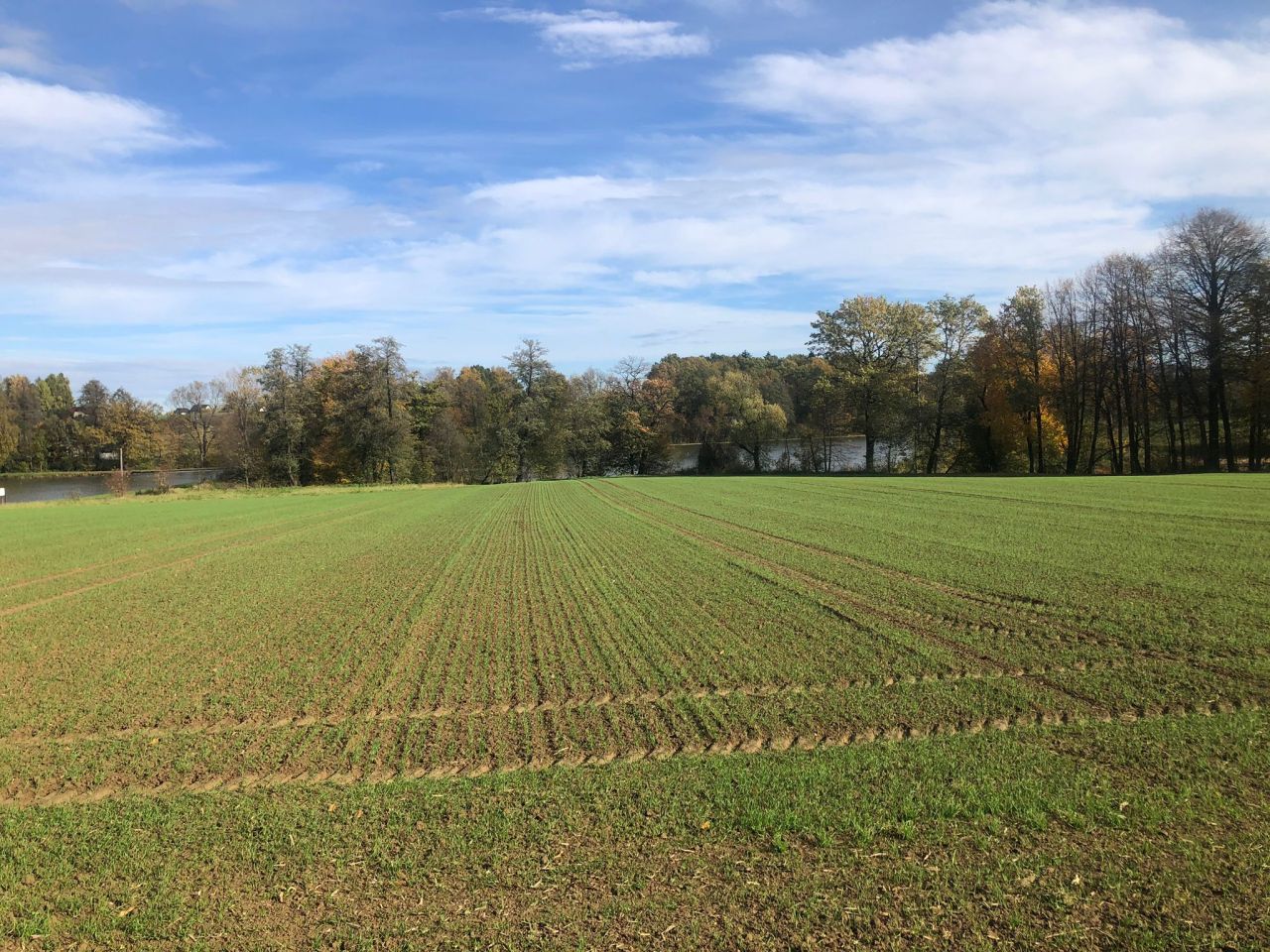Działka rolno-budowlana Stara Wieś Stara Wieś Dolna, ul. Lipowa. Zdjęcie 6