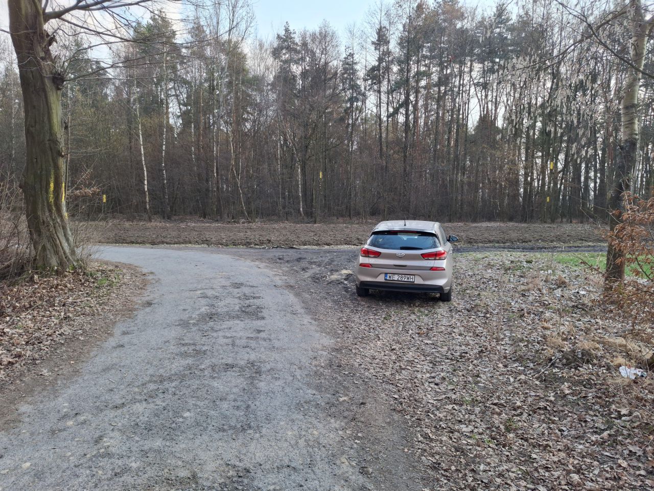 Działka rolno-budowlana Piotrowice, ul. Graniczna. Zdjęcie 12