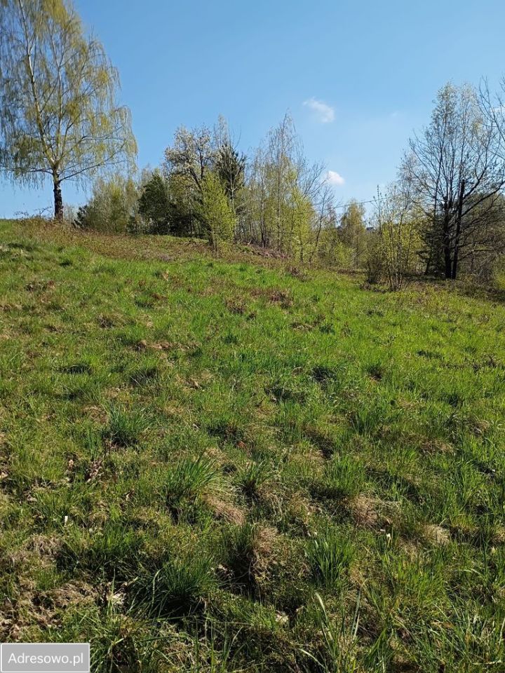 Działka budowlana Gródek nad Dunajcem Koszarka. Zdjęcie 5