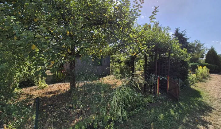 Działka rod Wrocław Krzyki, ul. Terenowa