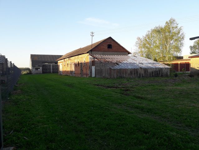 Działka rolno-budowlana Płaskocin. Zdjęcie 1