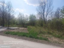 Działka rolna Radom Żakowice, ul. Wjazdowa. Zdjęcie 3