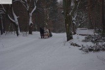 Działka budowlana Skoki Duże. Zdjęcie 1