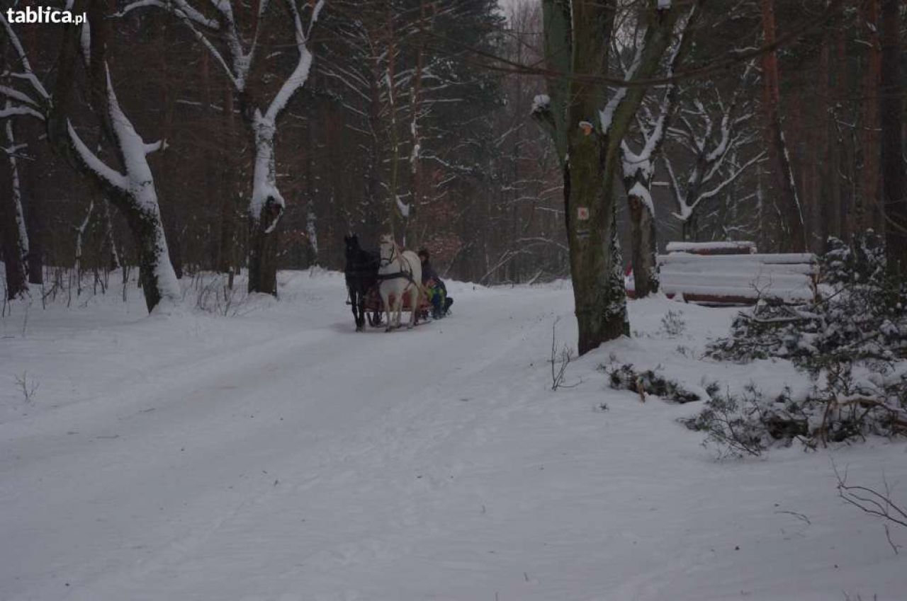 Działka budowlana Skoki Duże. Zdjęcie 2