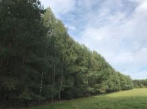 Działka rolna Możdżanów. Zdjęcie 1