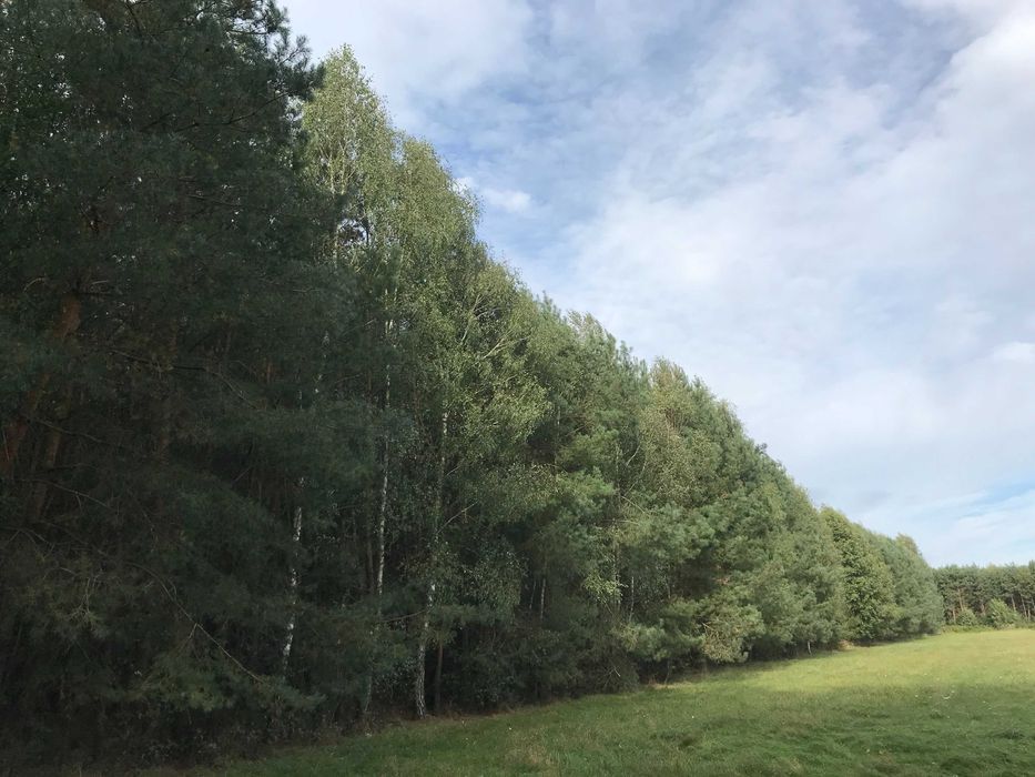 Działka rolna Możdżanów. Zdjęcie 2