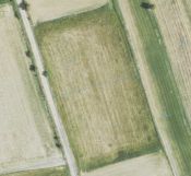 Działka rolna Mała Dział. Zdjęcie 2