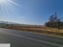 Działka inwestycyjna Promna-Kolonia. Zdjęcie 2