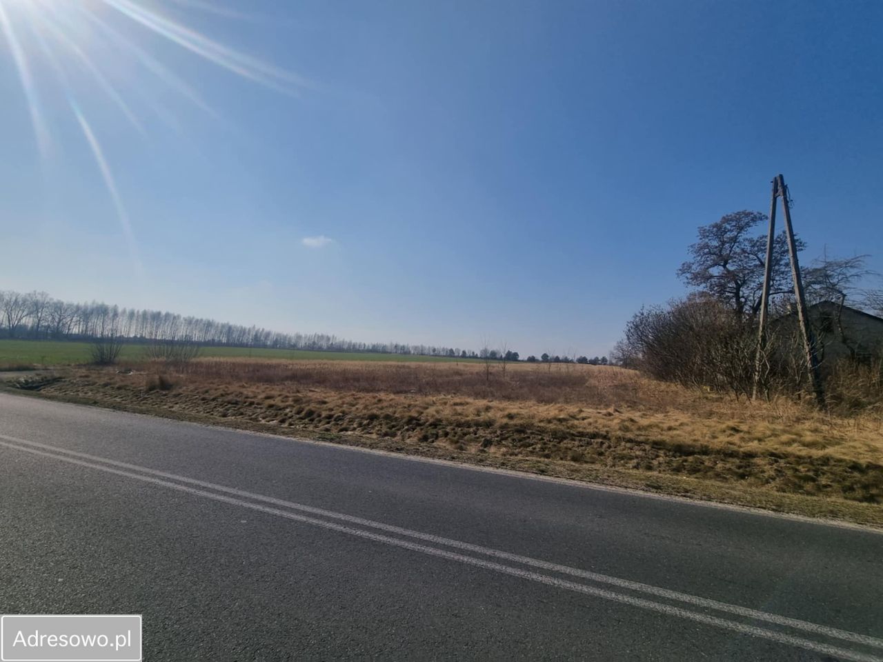 Działka inwestycyjna Promna-Kolonia. Zdjęcie 3