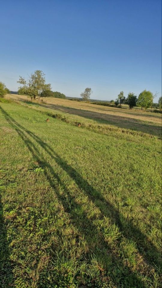 Działka rolno-budowlana Lubieniów. Zdjęcie 3
