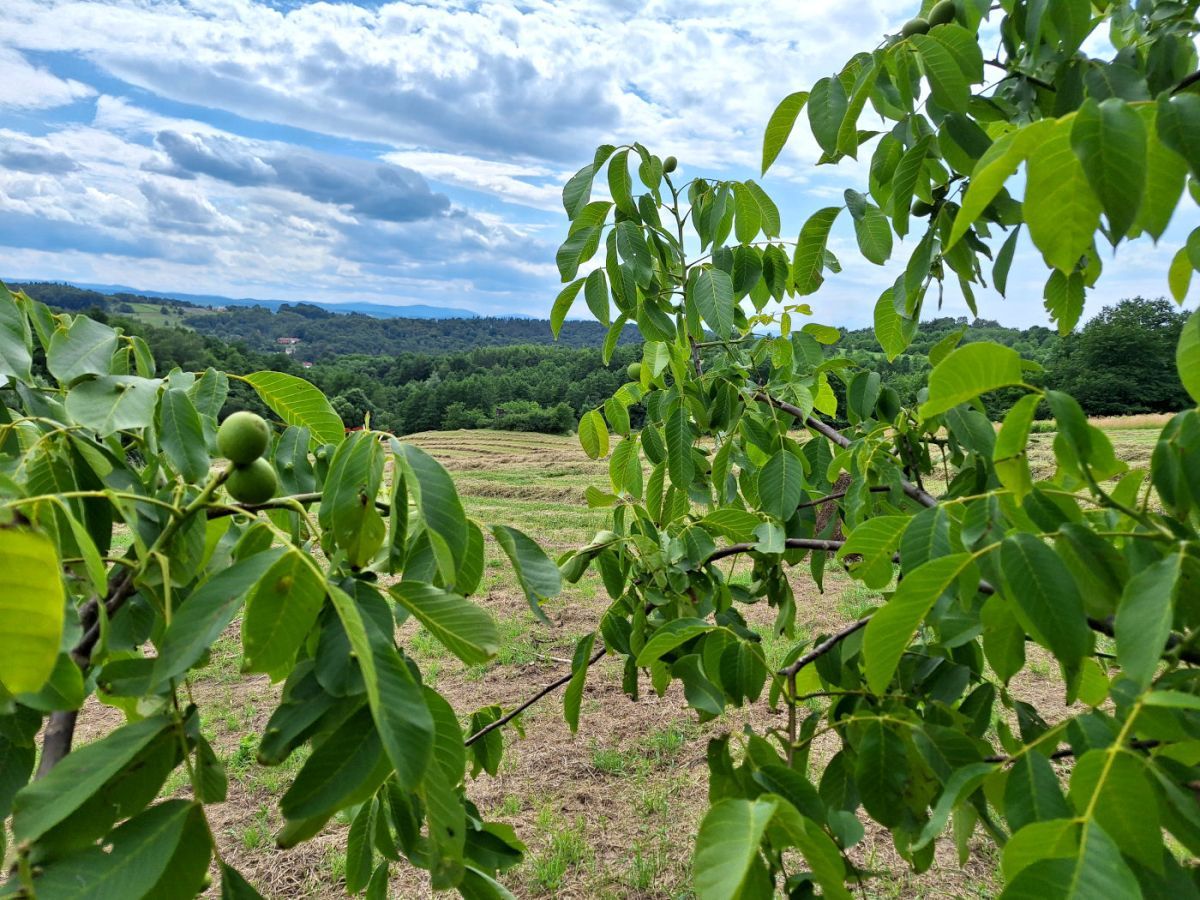 Działka budowlana Okocim, ul. Klęczany. Zdjęcie 5