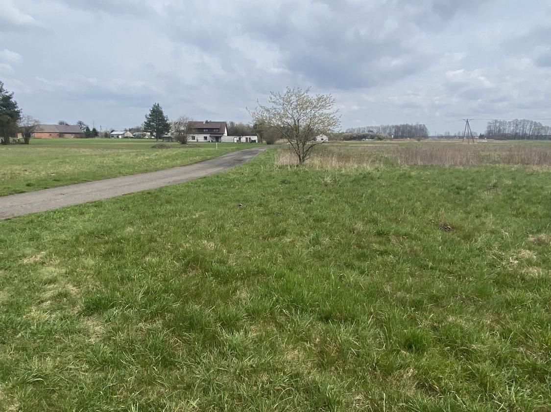 Działka inwestycyjna Jełowa, ul. Polna. Zdjęcie 4