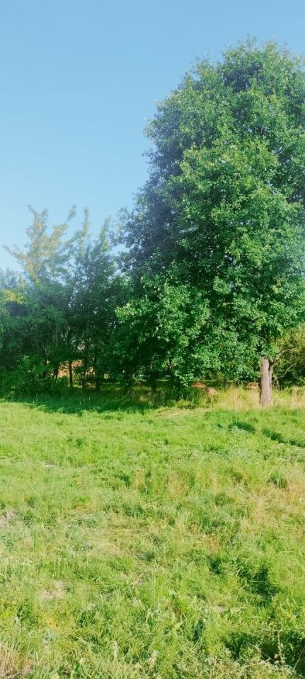 Działka budowlana Wsola, ul. Miła. Zdjęcie 7