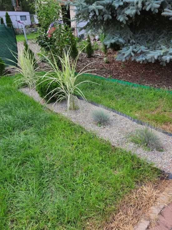 Działka rod Szamotuły. Zdjęcie 6