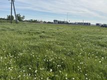Działka budowlana Reńska Wieś, ul. przyjaciół. Zdjęcie 1