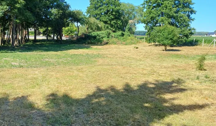 Działka rolno-budowlana Zwola