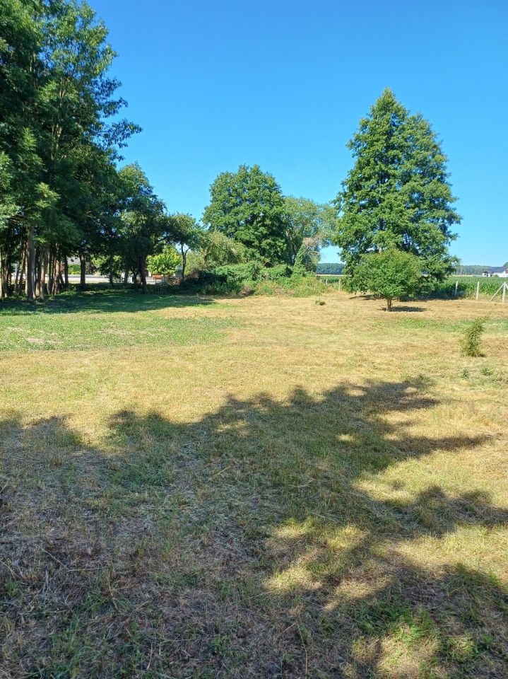 Działka rolno-budowlana Zwola