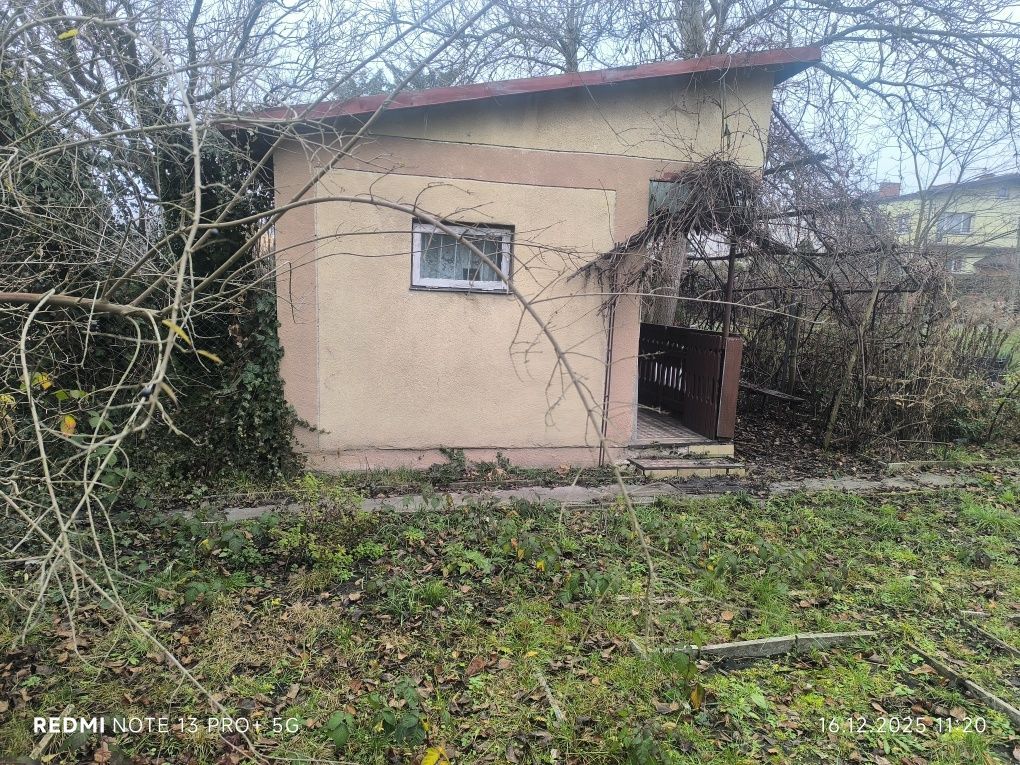 Działka rod Żyrardów, ul. Wypoczynkowa. Zdjęcie 3