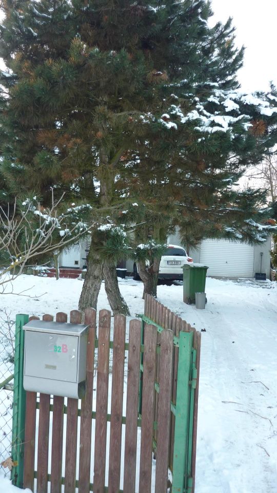 dom wolnostojący, 6 pokoi Lednogóra. Zdjęcie 4