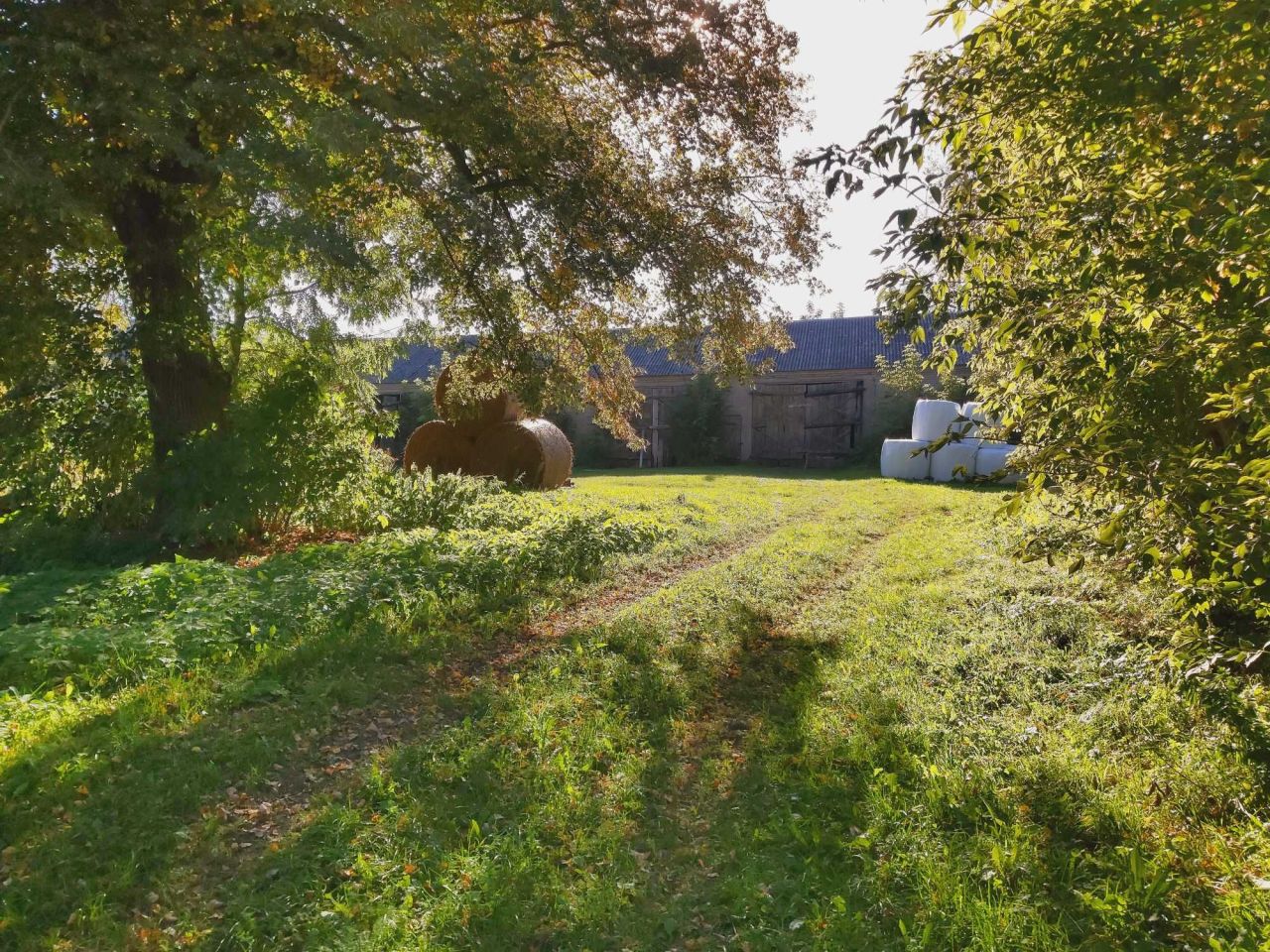 Działka siedliskowa Kosaki. Zdjęcie 2