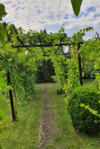 Działka rod Kluczbork. Zdjęcie 1