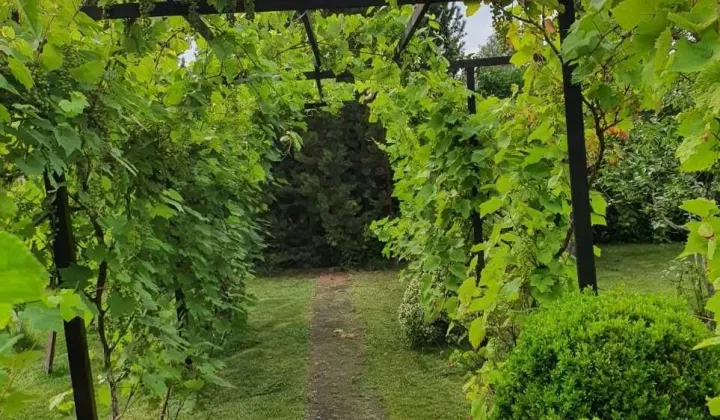 Działka rod Kluczbork