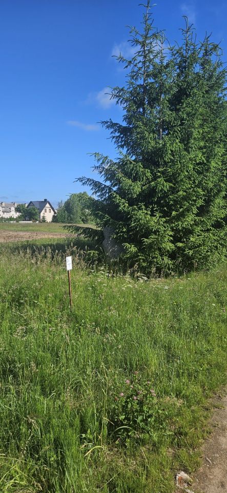 Działka budowlana Stara Kiszewa. Zdjęcie 6