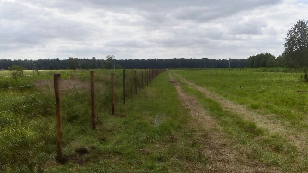 Działka rolno-budowlana Kobielice, ul. Pszczyńska