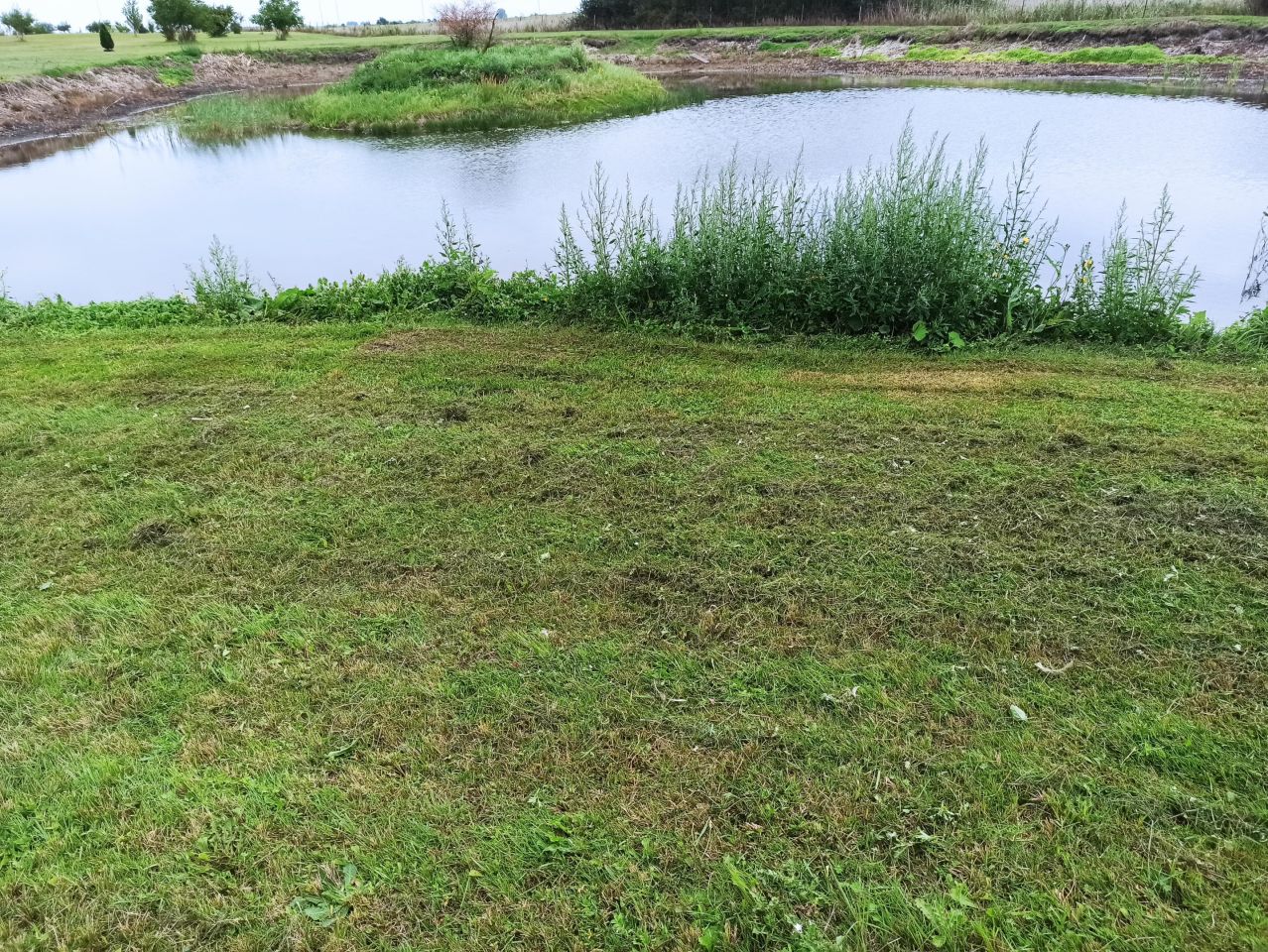 Działka rolna Czarnowo. Zdjęcie 6